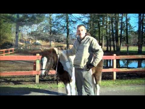 Uncovering the Secrets of Indian Hackamore