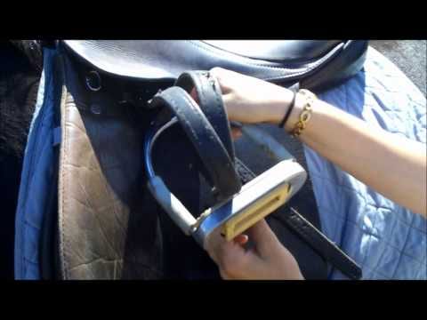 Unlocking the Secrets of Successful Horse Training