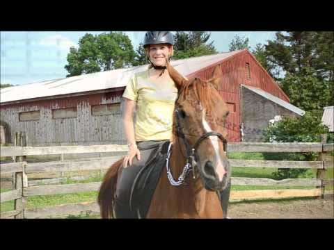 Horse Training – Catching the Horse’s Attention