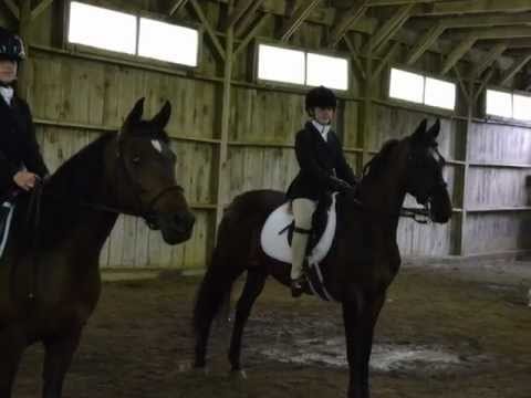 The Impact of What’s Under Your Saddle