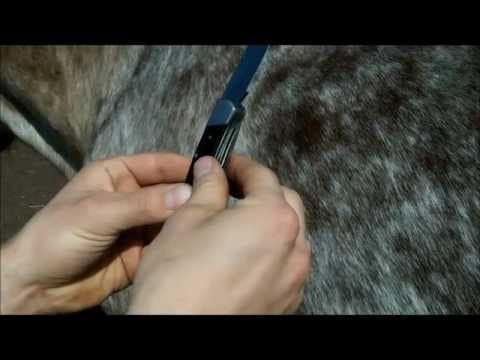 The History of Horse Blankets: Traditional to Modern