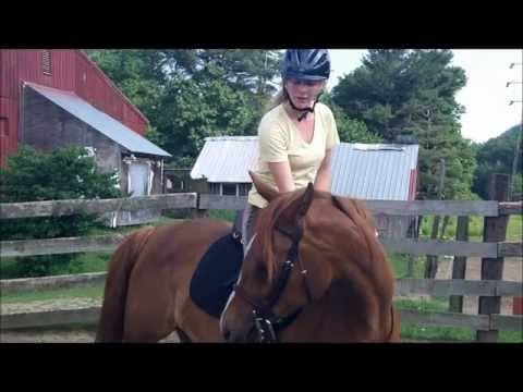 Kindness When Horse Training