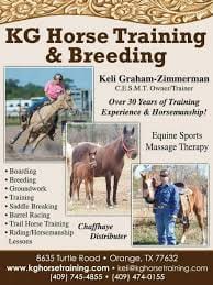 Training Your Horse