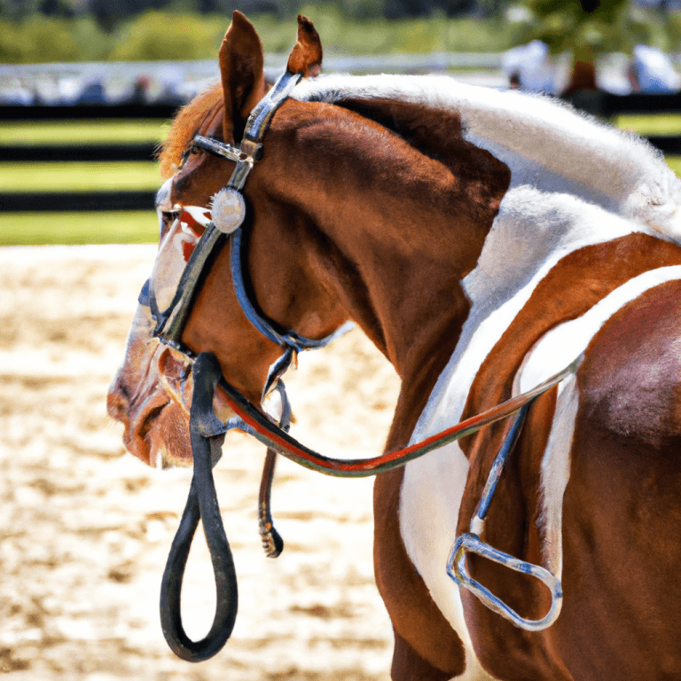 Cost to Show a Horse