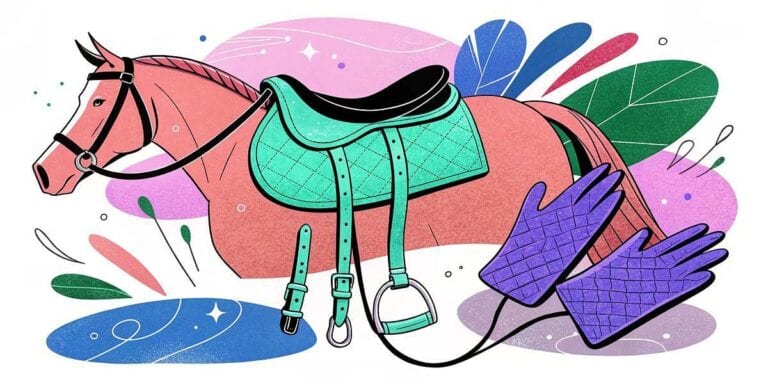 6 Horse Saddles and Tack Accessories to Elevate Your Riding Experience
