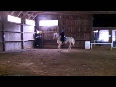 The Different Types of Horse Blankets and Sheets