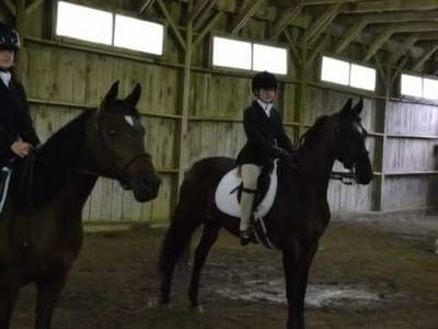 The Impact of What’s Under Your Saddle