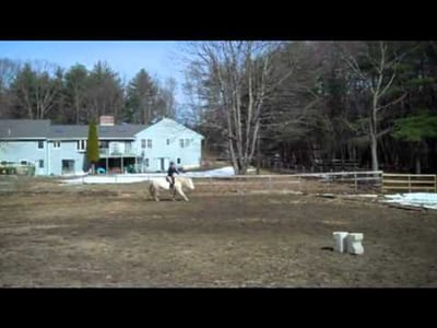 The Benefits of Investing in Horse Saddles and Horse Blankets