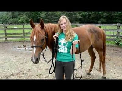 What Are the Different Types of Saddles and Horse Blankets?