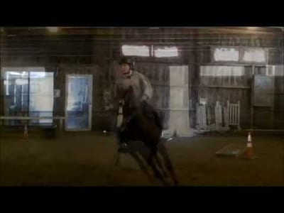 What Are the Benefits of Horse Training Schools?