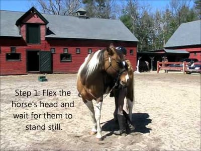 Training Your Horse To Stand Still For Mounting
