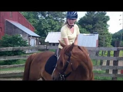 Kindness When Horse Training
