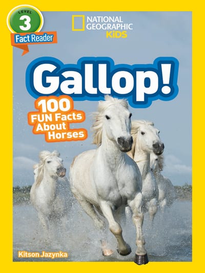 Amazing Facts About Horses
