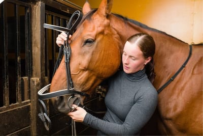 Horse Care For Beginners