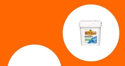Unlock Your Horse’s Full Potential: 3 Must-Have Horse Supplements for Spring