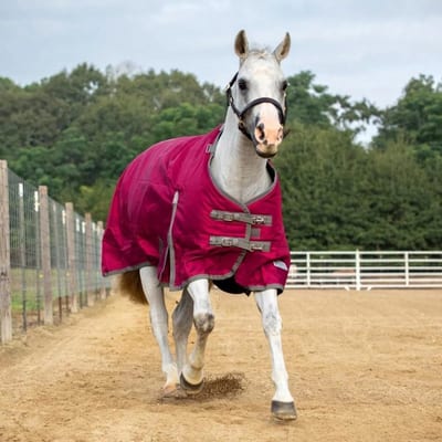 Horse Blankets