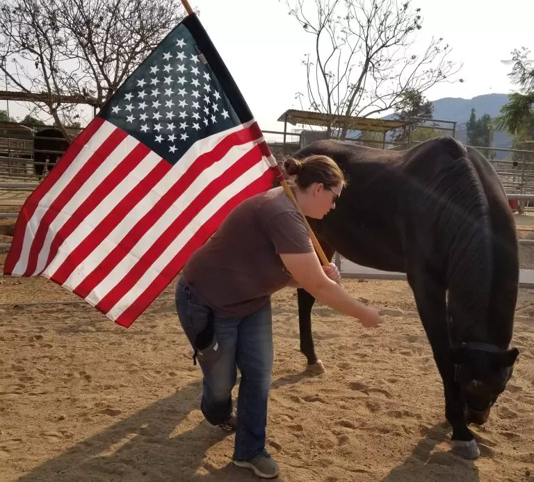 A Horse Training Flag And Other Horse Training Tools