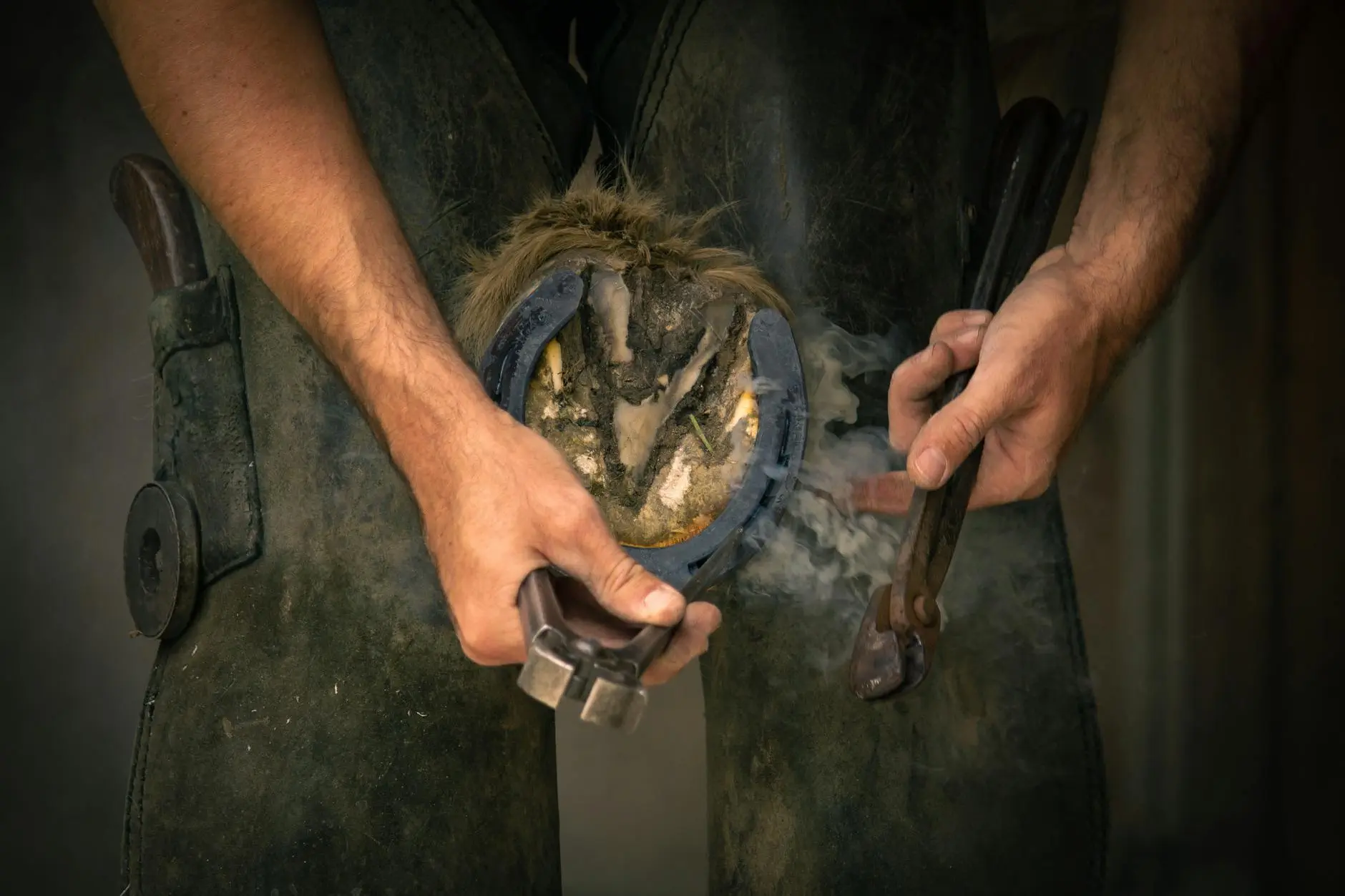 Horse Grooming Blunders
