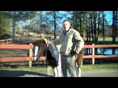 Uncovering the Secrets of Indian Hackamore