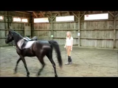 Training a Spooky Horse: Tips and Tricks