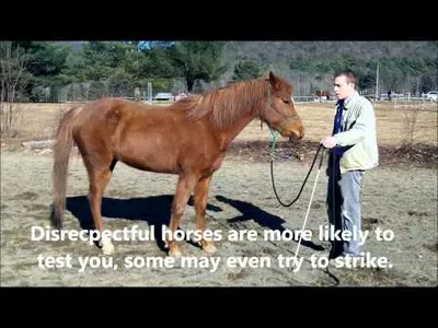 The Different Types of Fly Sheets