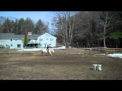 The Benefits of Investing in Horse Saddles and Horse Blankets