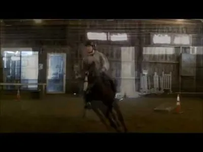 What Are the Benefits of Horse Training Schools?