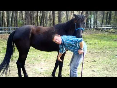 Video: How to Clean Your Horse’s Hooves