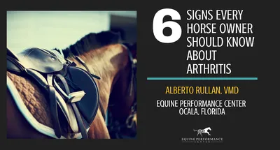 What Should Every Horse Owner Have on Hand?