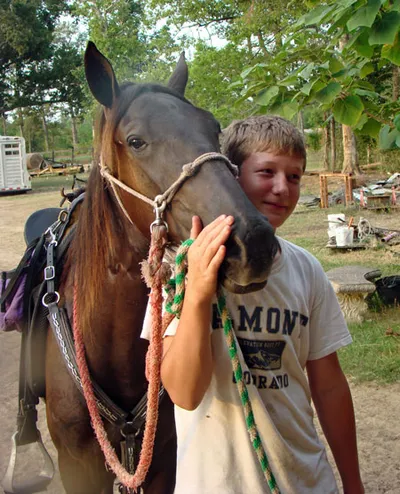 The Tennessee Walking Horse