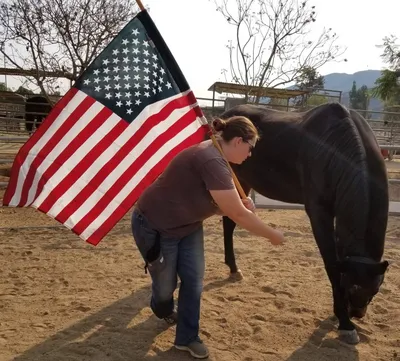 A Horse Training Flag Is a Handy and Easy-to-Use Tool