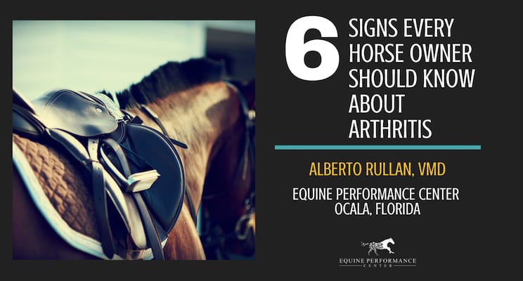 What Is Horse Tack?